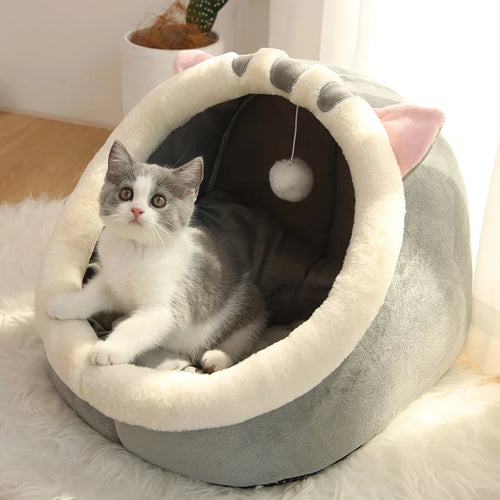 Cama para gato con diseños animados