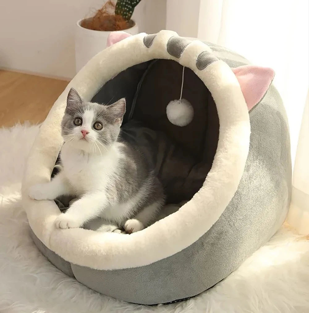 Cama para gato con diseños animados