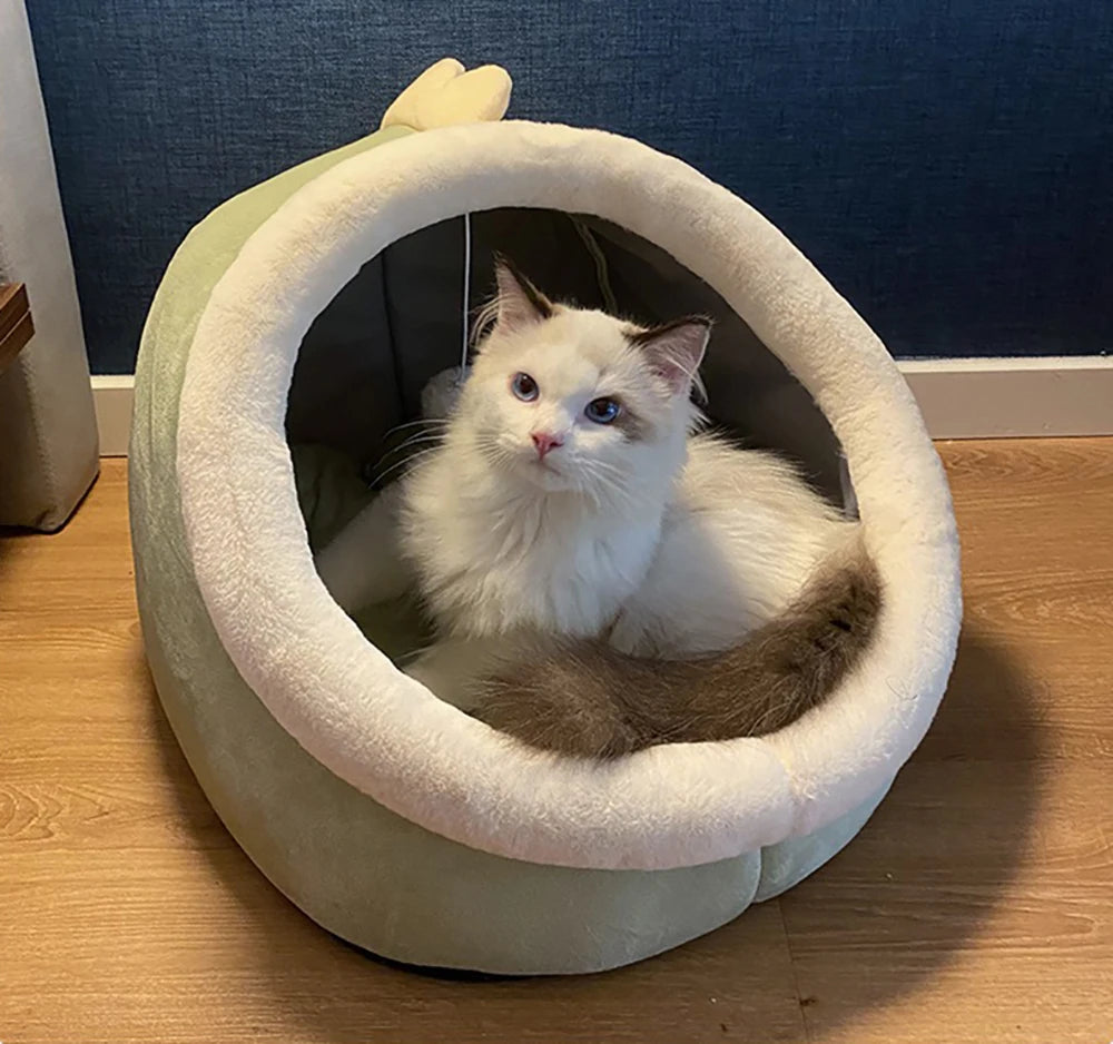Cama para gato con diseños animados