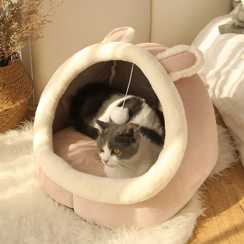 Cama para gato con diseños animados